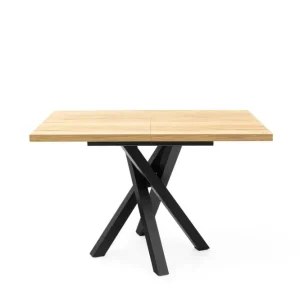 BRADOP Rozkládací jídelní stůl DAMIAN 120(160)x80 Expresní Doručení