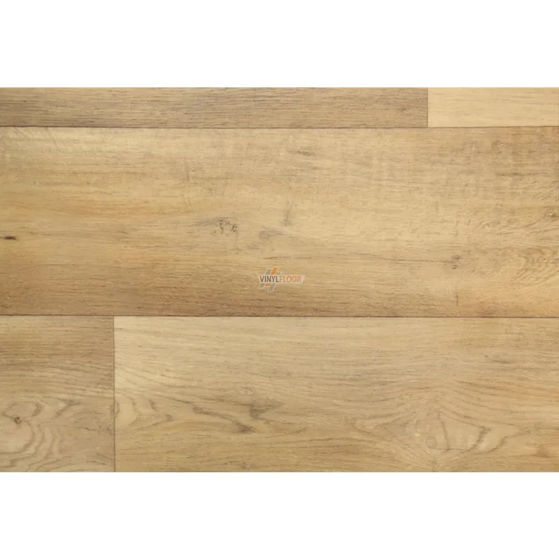 Nová Kolekce PVC AMBIENT Silk Oak 603M