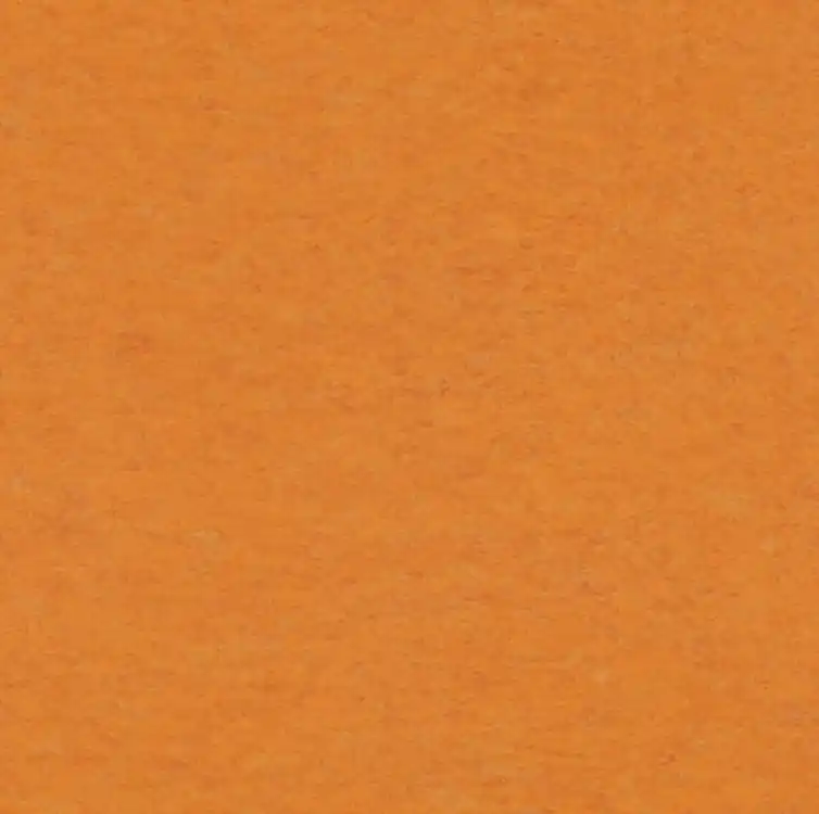 Linoleum Veneto XF2 636 (Tarkett) Nakupujte Hned