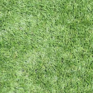 Ověřený Koberec Umělá tráva Rapid