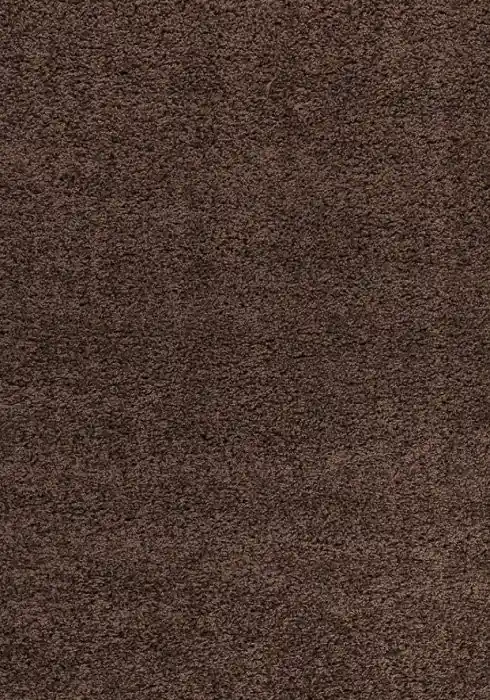 Horká Nabídka Kusový koberec Dream Shaggy 4000 brown