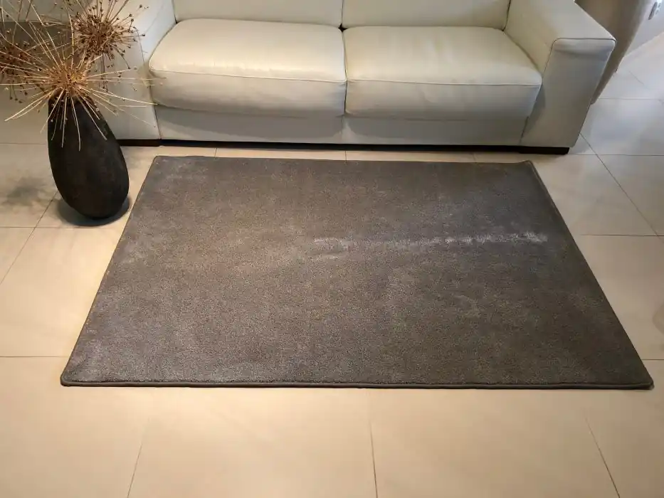Časově Omezené Kusový koberec Apollo Soft šedý