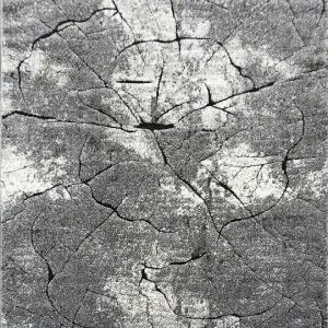 Autentický Kusový koberec Miami 129 Grey
