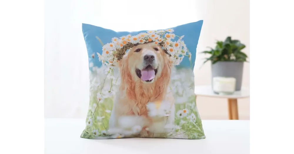 Povlak na polštář 40 × 40 cm - Zlatý Retrívr Amálka Tovární Cena