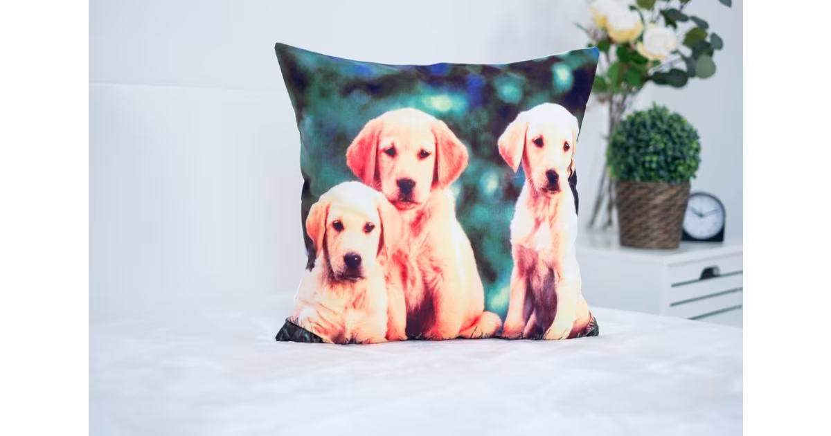 Povlak na polštářek 45 × 45 cm – Animals 13 Novinka