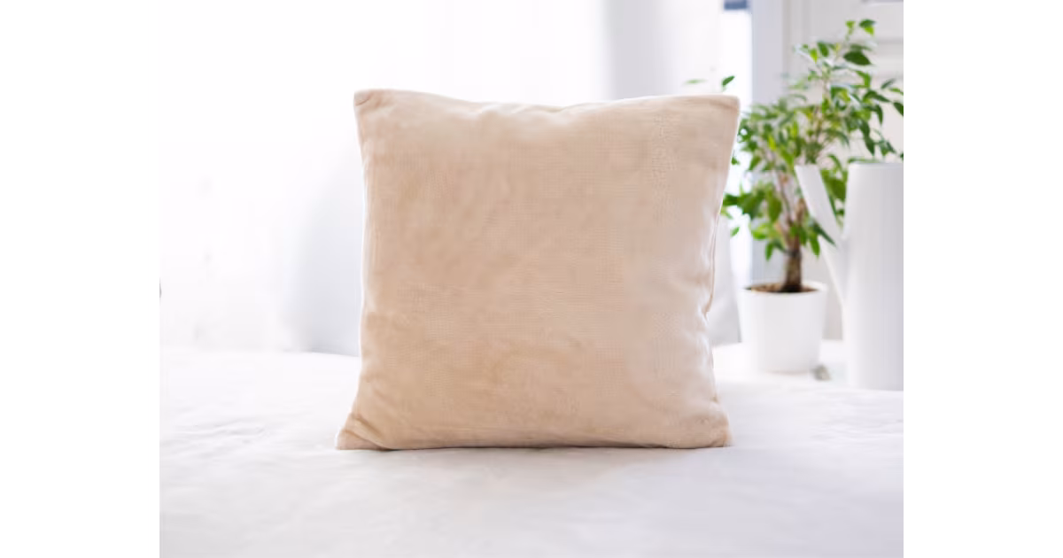 Rychlé Dodání Povlak na polštářek mikroplyš 40 × 40 cm – mandlový