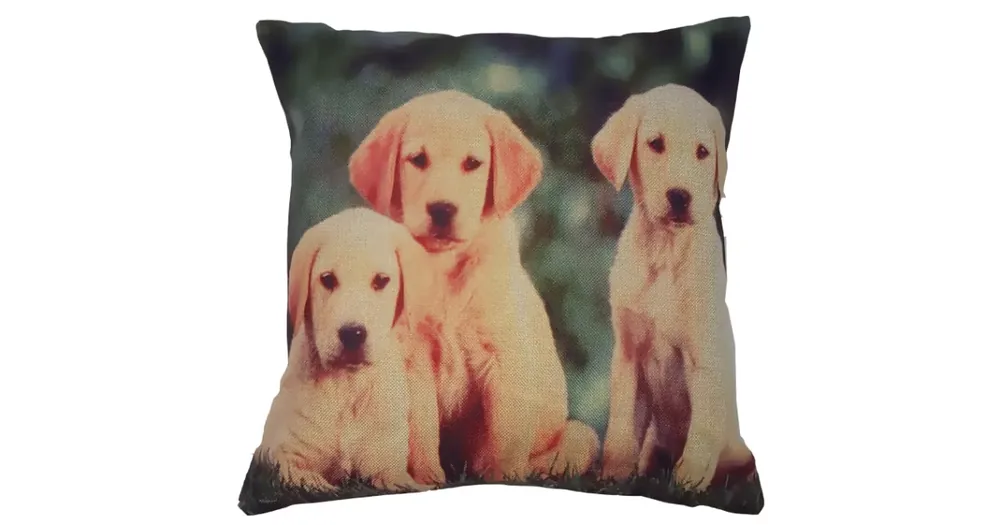 Autentický POVLAK NA POLŠTÁŘEK s 3D efektem 45x45cm Pejsci