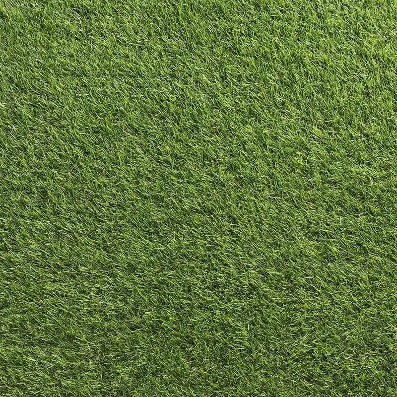 Umělá tráva SPELSBURY Levný