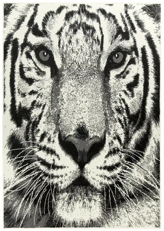 Ihned K Objednání Koberec Nairobi - Tyger 543151/56933 krémový