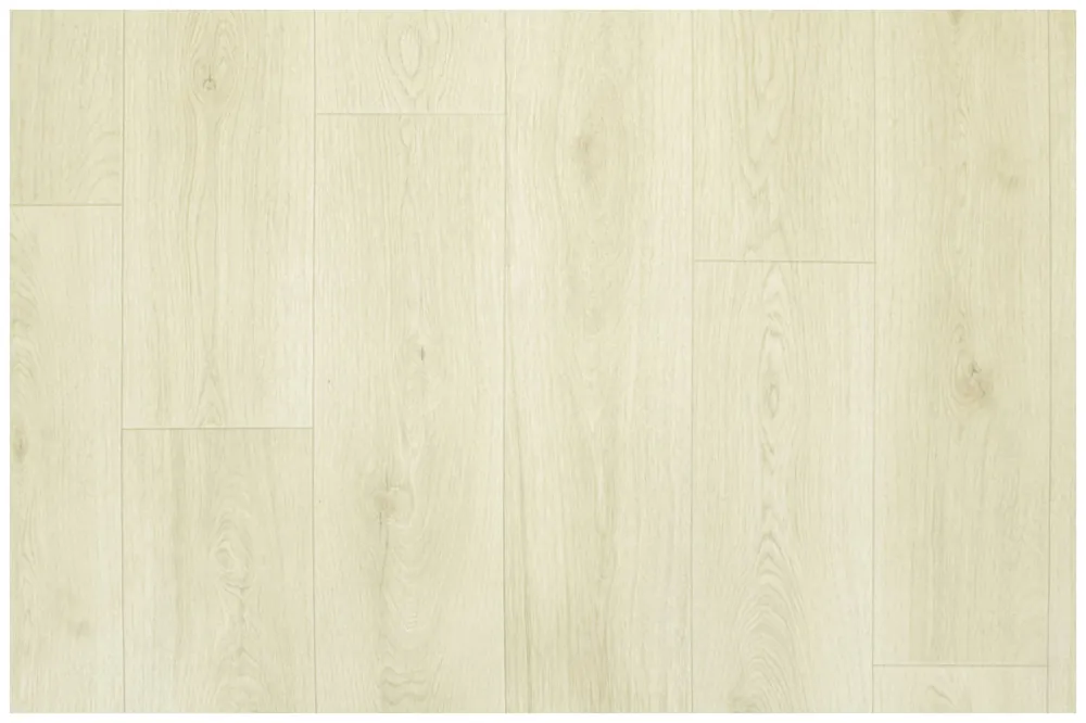 Ihned K Objednání PVC podlaha Evolution Maison 2