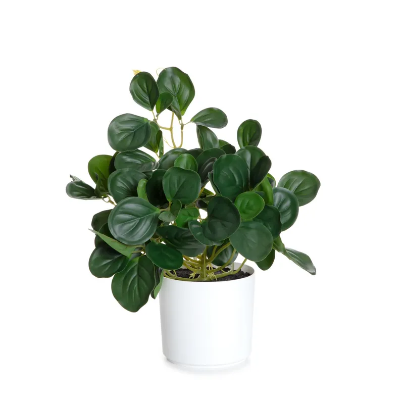 Cenový Hit Umělá rostlina TROPICAL ZONE peperomia 882000 43 cm