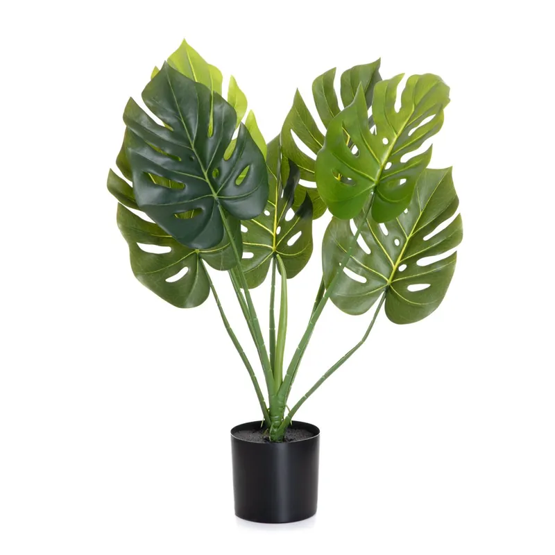 Umělá rostlina TROPICAL ZONE monstera v černém květináči 882024 75 cm Cenová Bomba