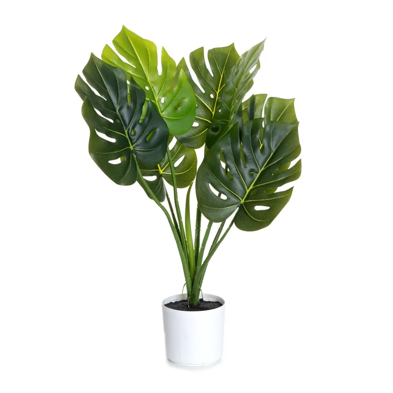 Umělá rostlina TROPICAL ZONE monstera v bílém květináči 882031 75 cm Nová Kolekce