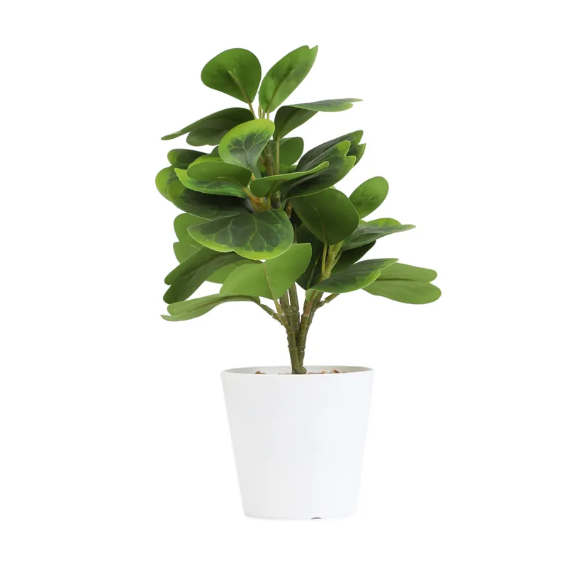 Umělá rostlina SEMELA peperomia 875026 30 cm Dokud Zásoby Vydrží