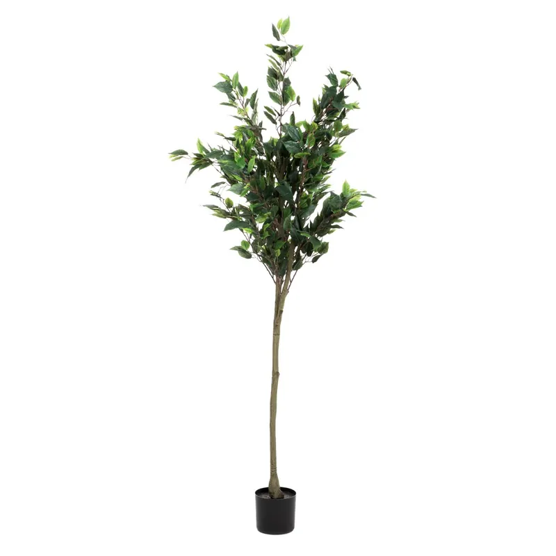 Umělá rostlina TROPICAL ZONE fíkus 877884 160 cm Oblíbený