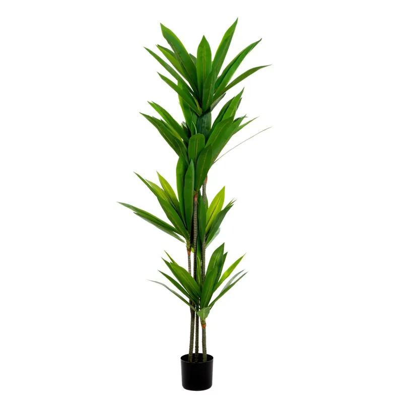 Časově Omezené Umělá rostlina TROPICAL ZONE dracéna 877860