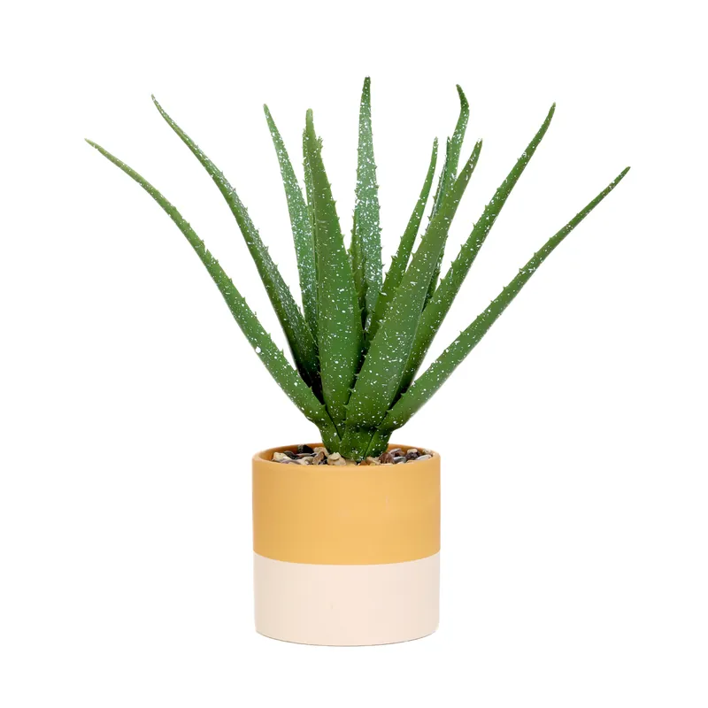 Nízká Cena Umělá rostlina SEMELA aloe 875118 32 cm