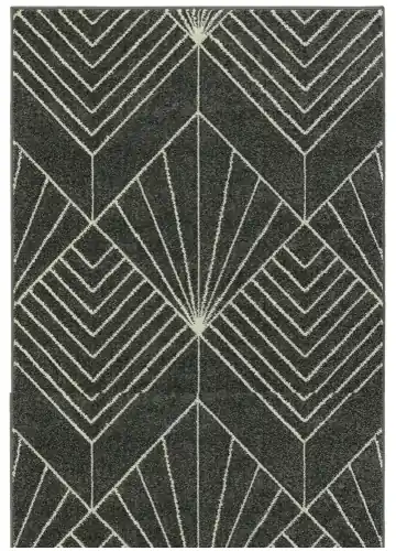 Expresní Doručení Oriental Weavers Portland 58/RT4E 67x120cm černý