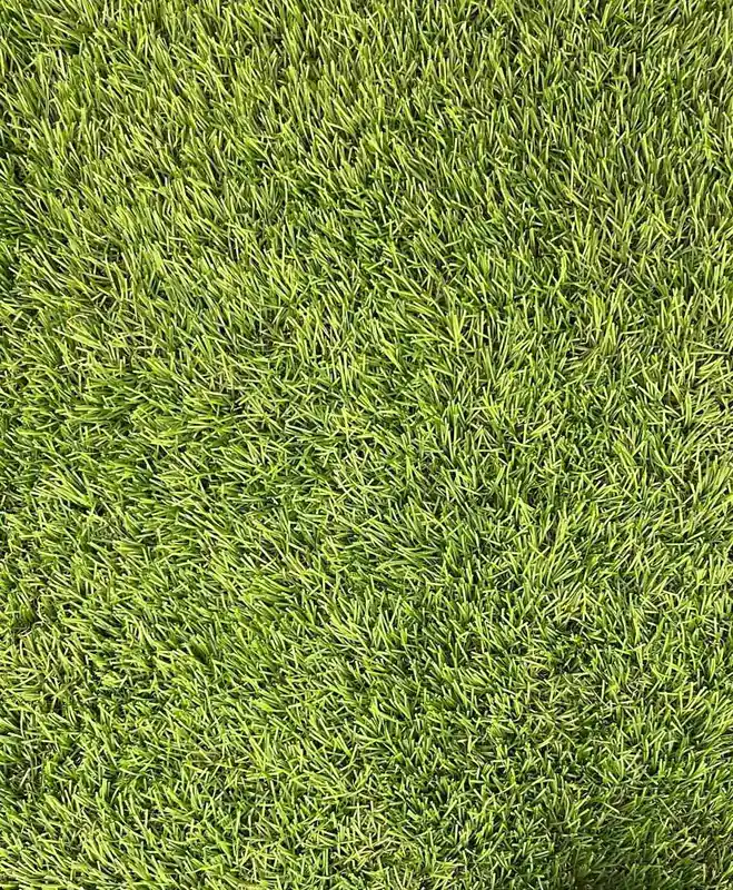 Bezpečná Platba Umělá tráva LANO EASY LAWN ROSEMARY šíře 2m