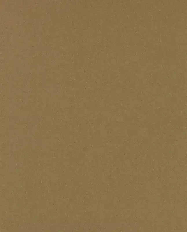 Lentex PVC FLEXAR 603-06 šíře 2m hnědý Kup Teď