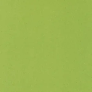 Lentex PVC FLEXAR 603-11 šíře 2m zelený Odeslání Ihned