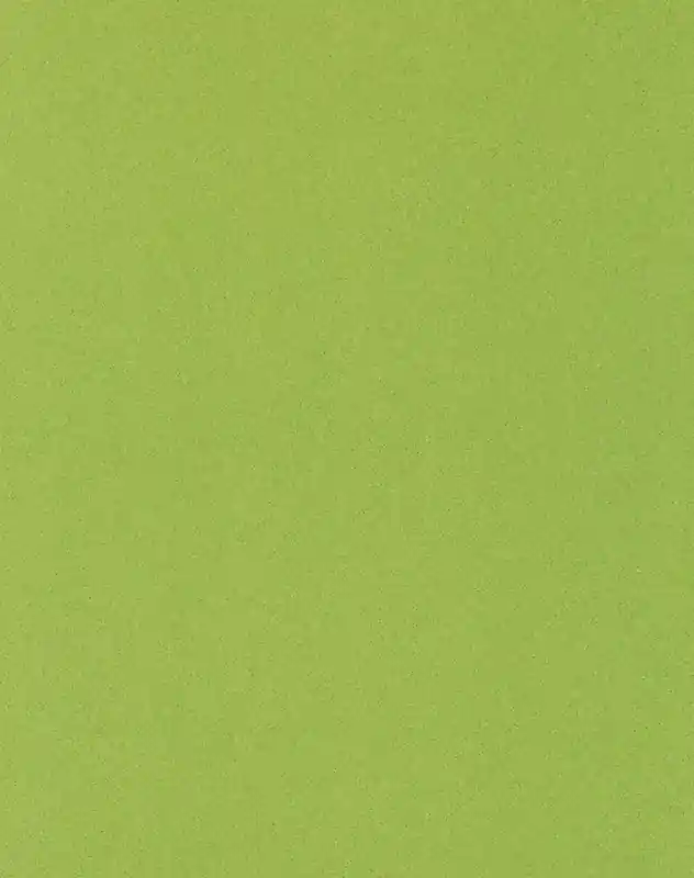 Nejprodávanější Lentex PVC FLEXAR 603-11 šíře 4m zelený